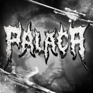 palach836