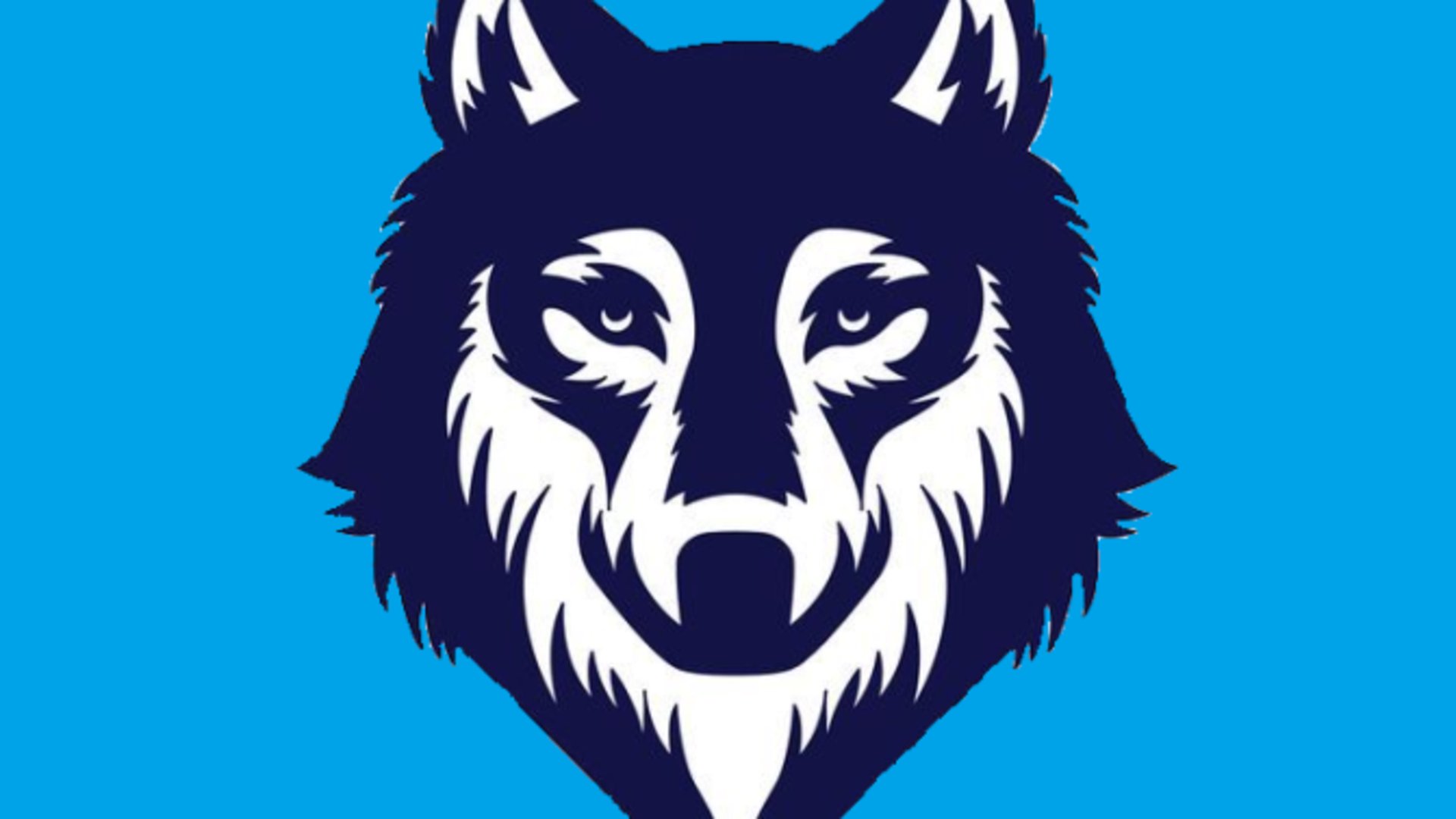 itszaidengg Offline Background