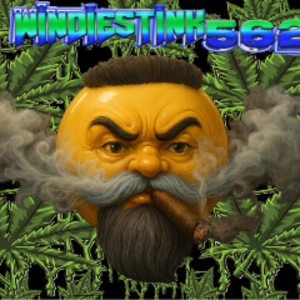 windiestink562