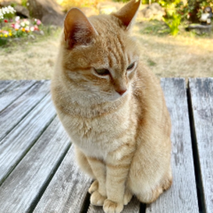 ニッシーさん