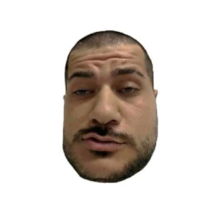 HamedLoco