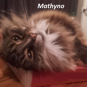 Mathyno