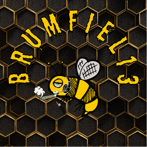 brumfiel13