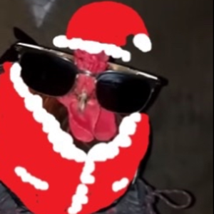 doomhavepizza