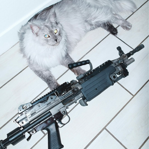 StolenEmo