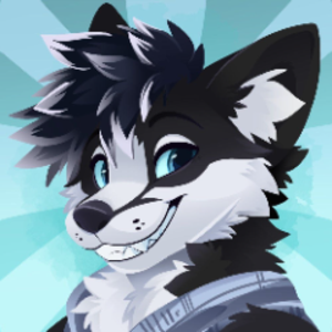 Kalik_Husky