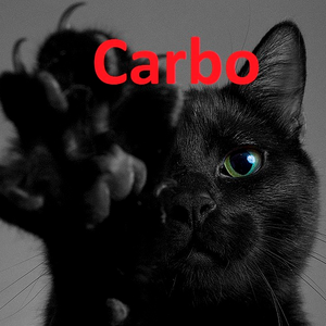 CarboTheCat99