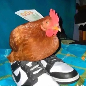 mrchickenn_