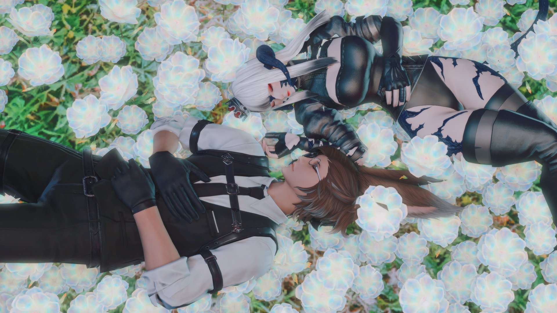 Ayleen_ffxiv Offline Background