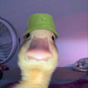 Prime_Tim44