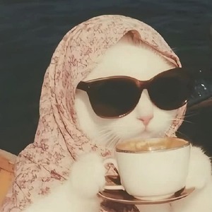 Grandchilld