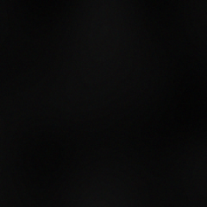 sudjik_