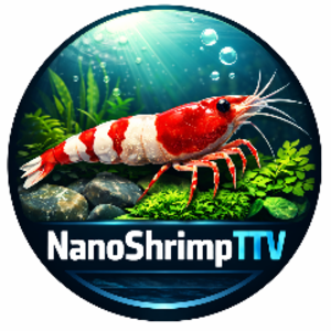 nanoshrimpttv