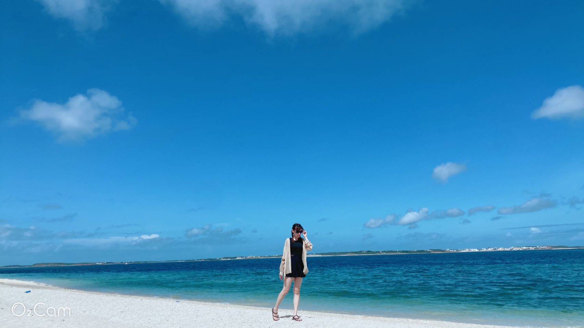 貓鼻兒 Offline Background