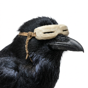 ravendoor_