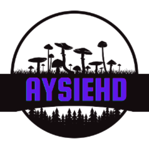 aysiehd