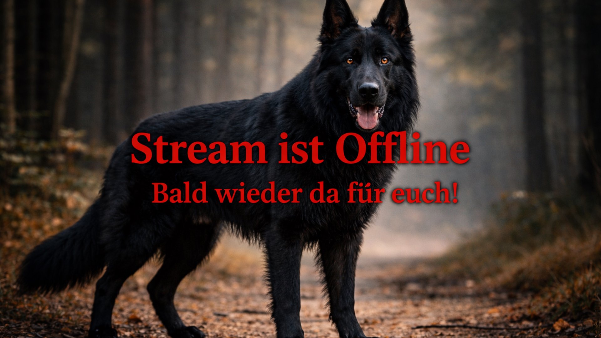 own3dx3_rec Offline Background