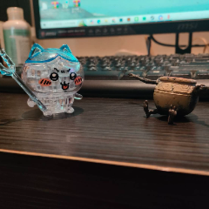 小狼狗阿毛