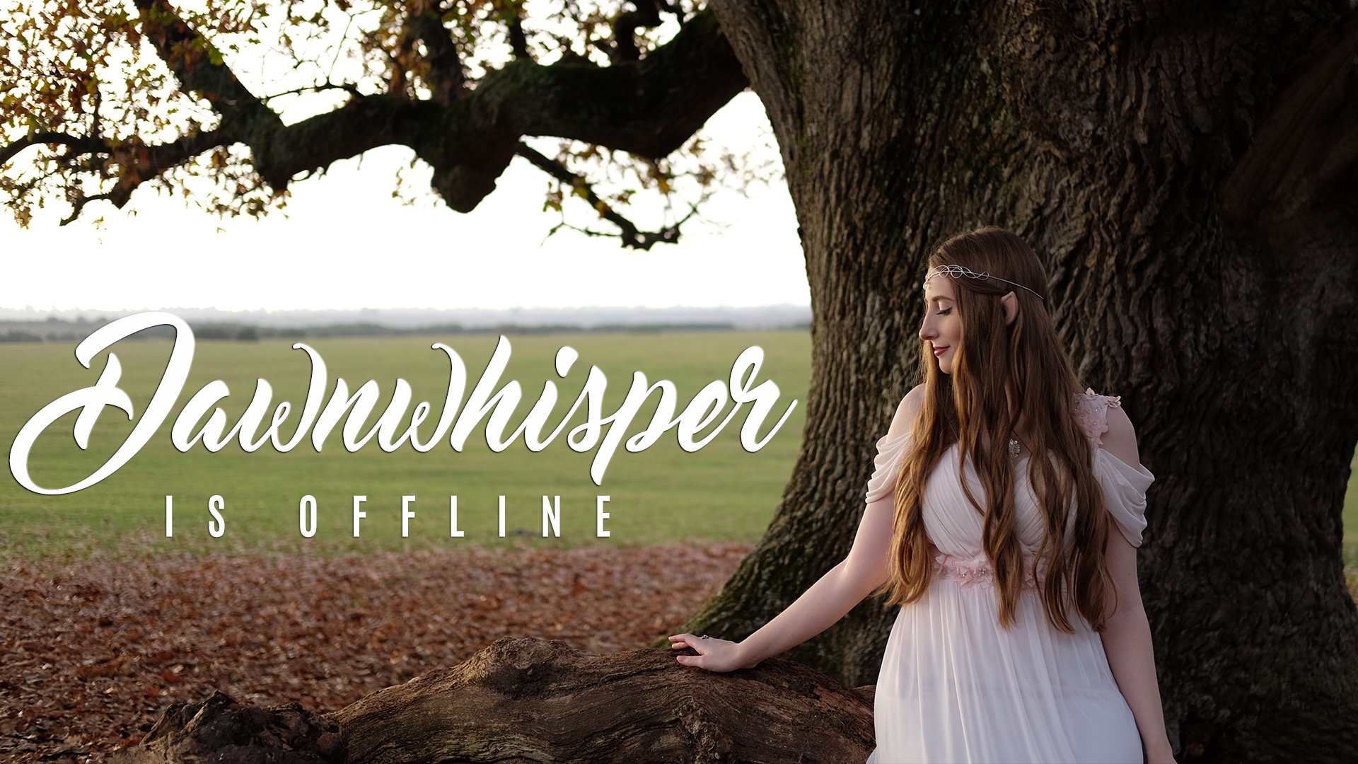 Dawnwhisper Offline Background