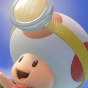 ToadTheBuilder