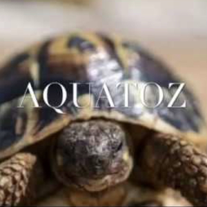 ximAquaToZ