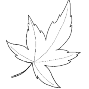 fi0h1