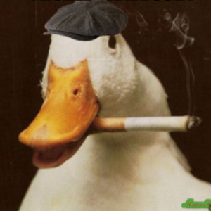 mr_duckx