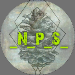 na_pol_shishki Offline Background