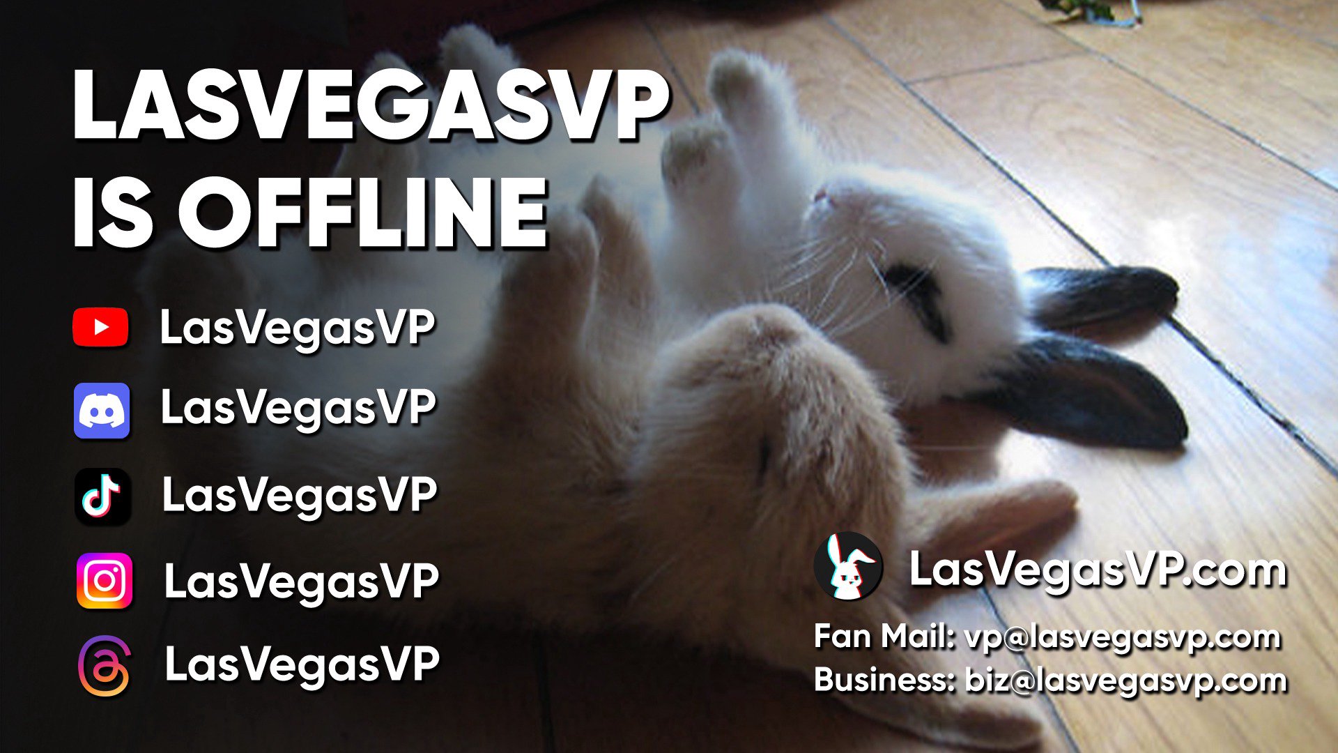 LasVegasVP Offline Background