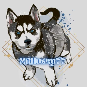 MRHUSKY77