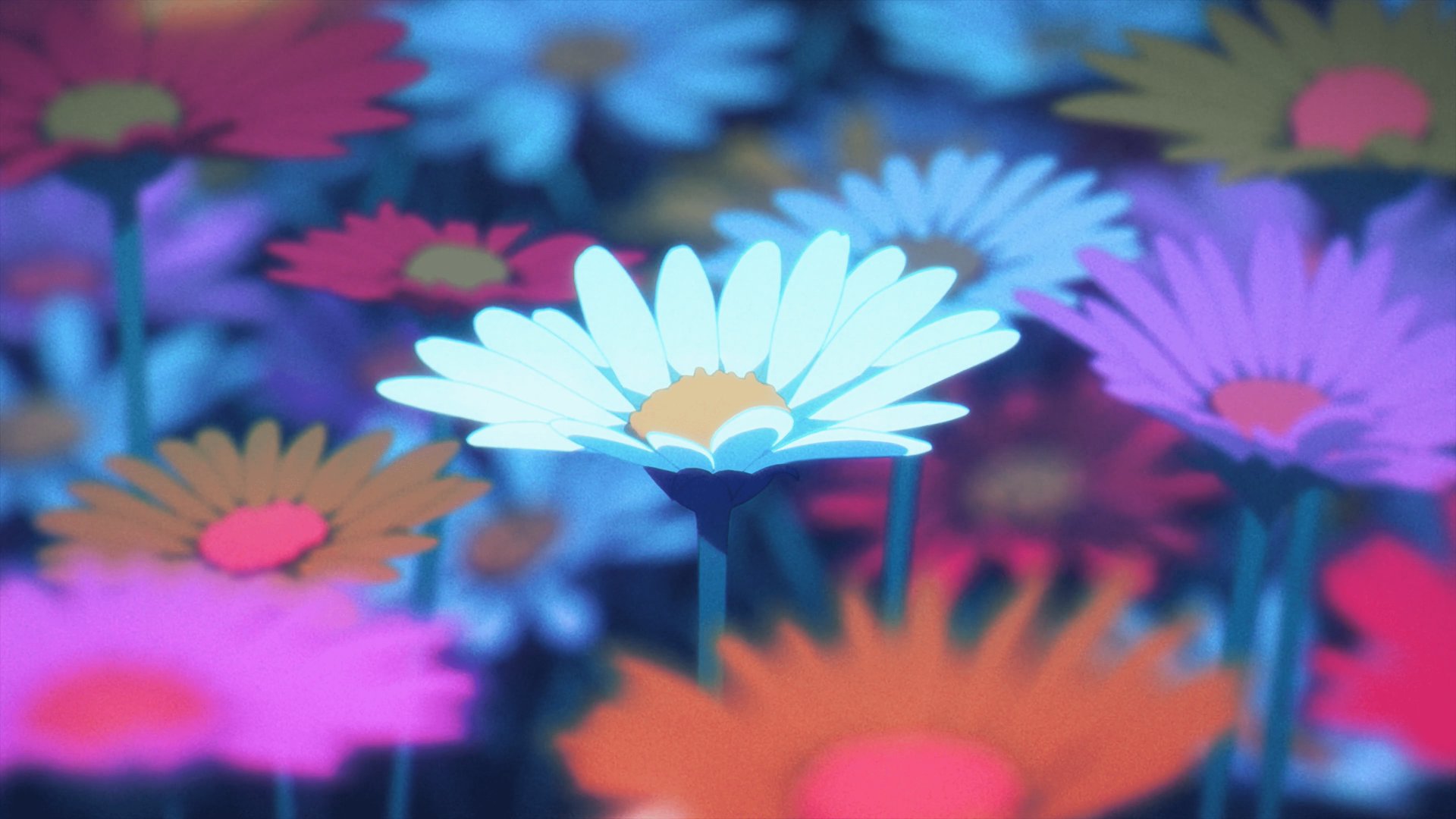 妮娜__ Offline Background