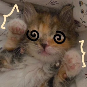 illinora