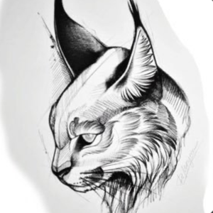 FlummoxedLynx