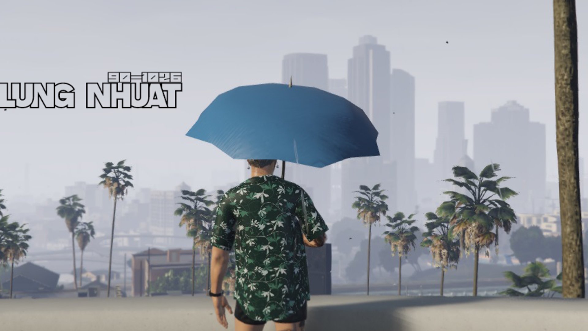 LungNhuat_live Offline Background