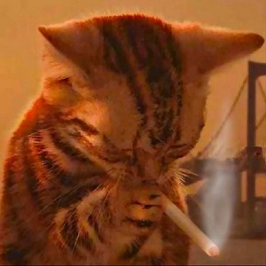 red_kat_smokes