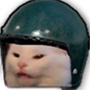 EINARI666