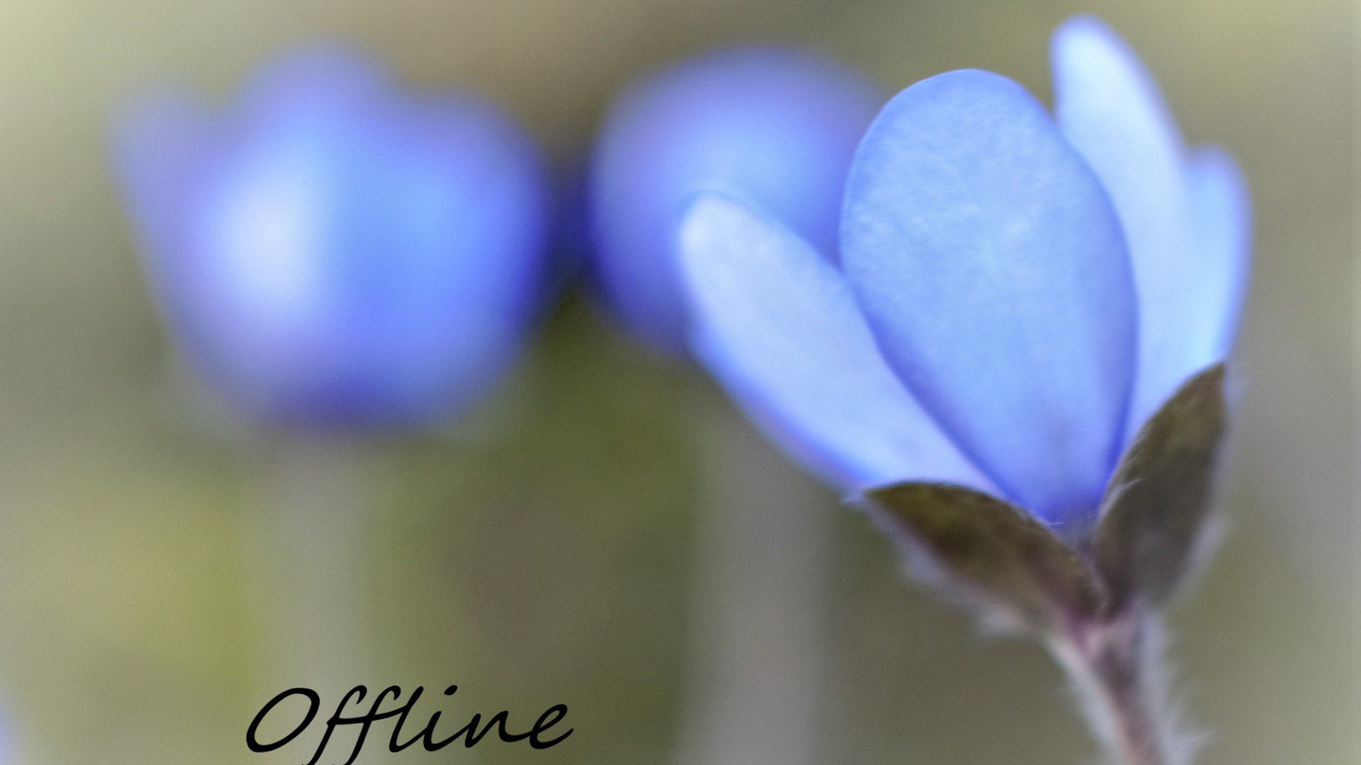 Erawyn_ Offline Background