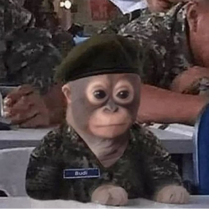 vNolan