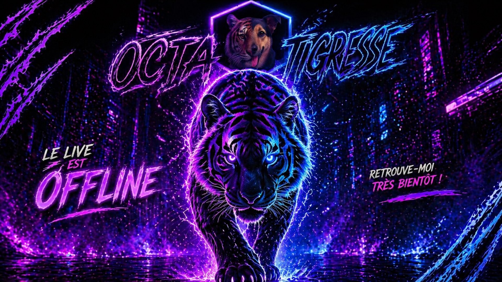 octa_tigresse Offline Background