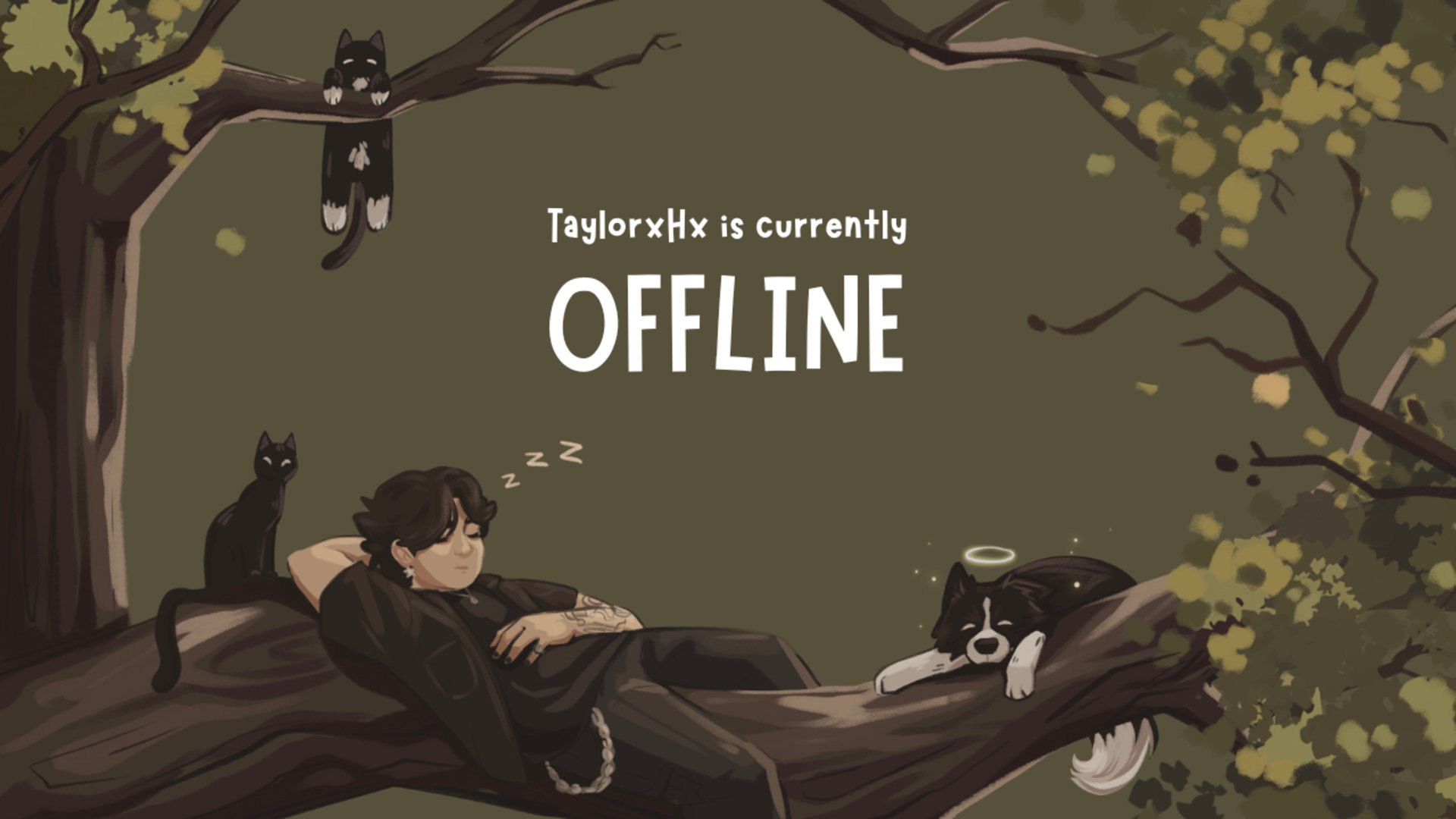 taylorxhx Offline Background