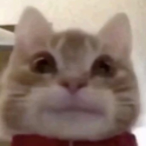 CurtisColtonV2