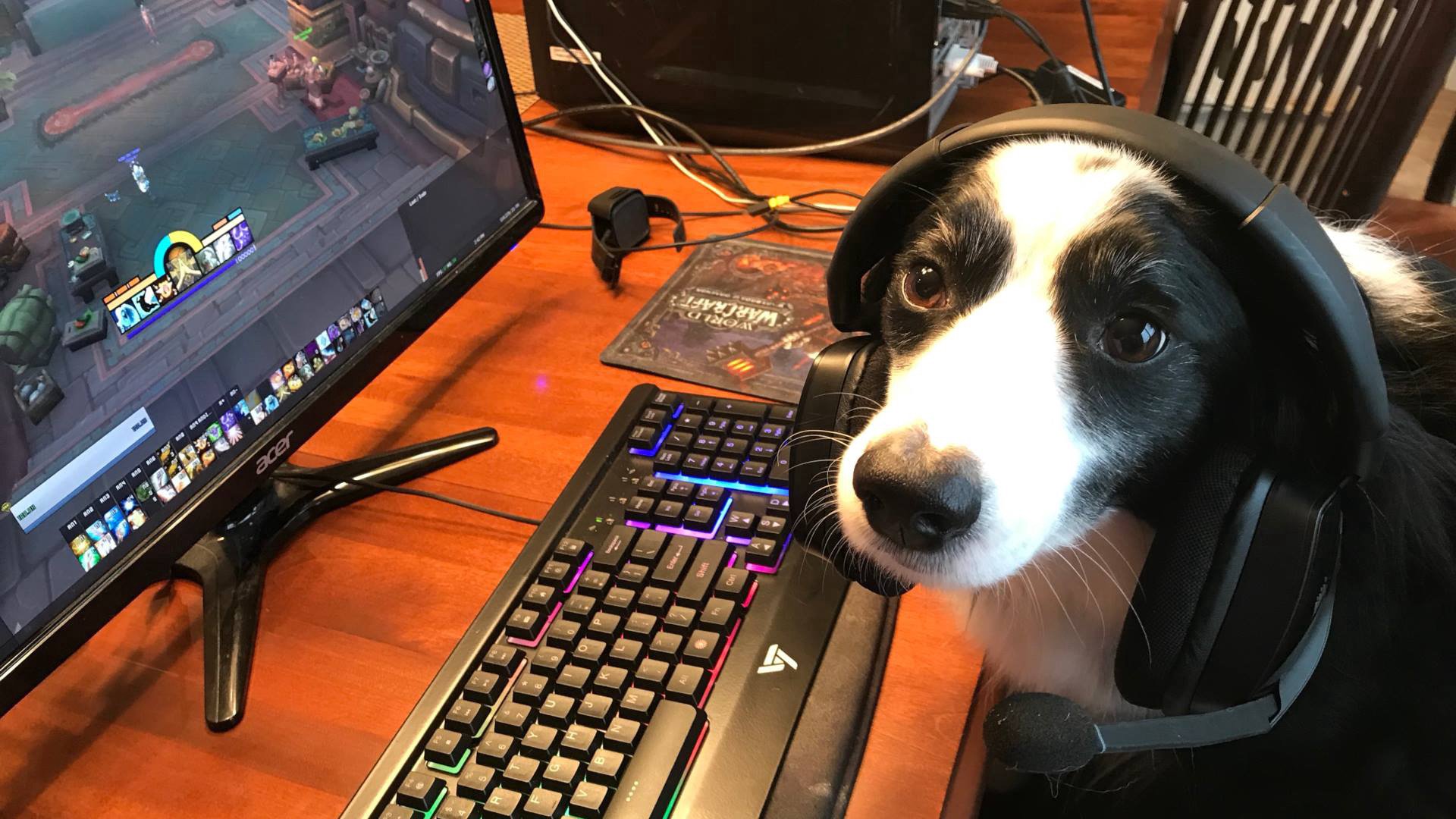 KitoriDERP Offline Background