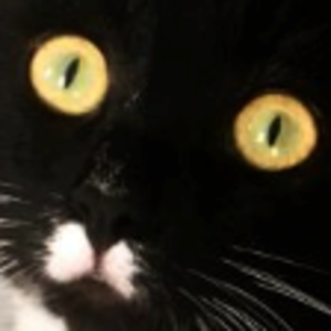 heykatie
