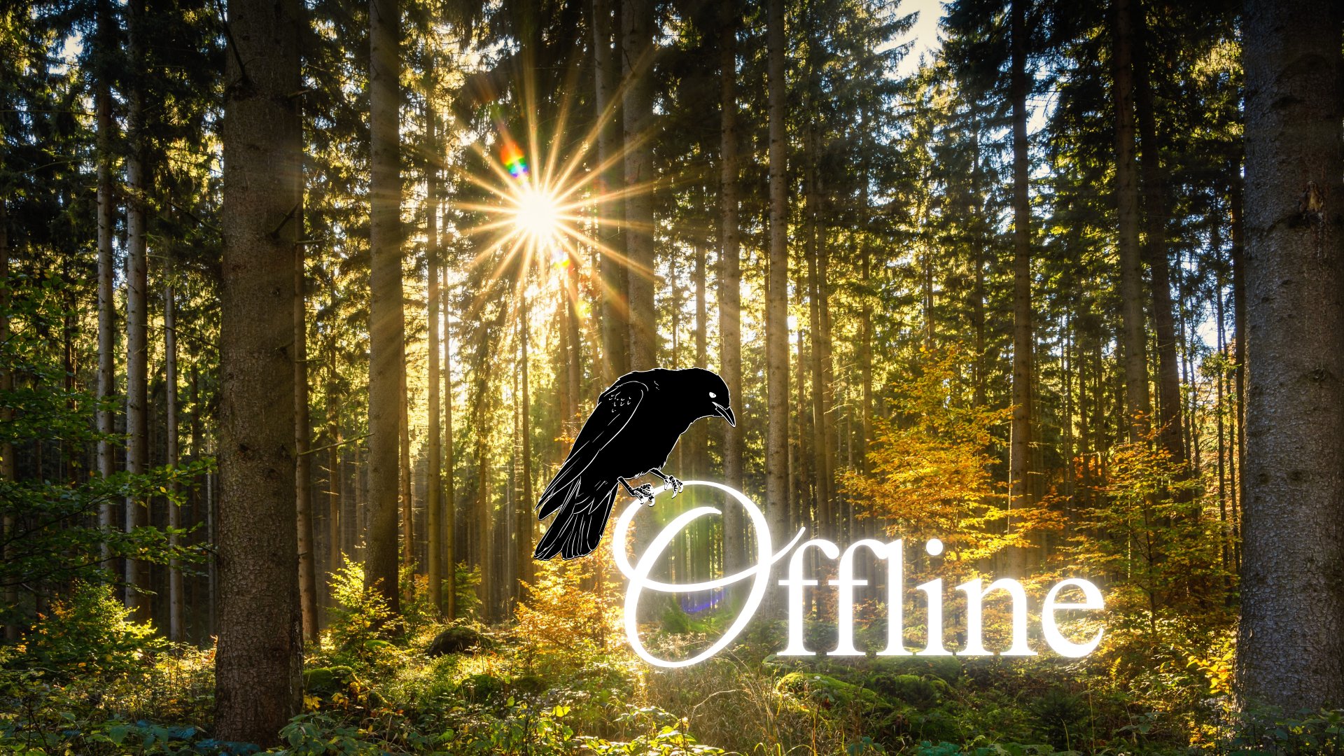 Dohlenfeder Offline Background