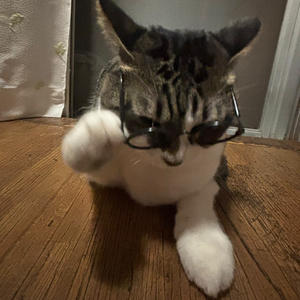ありんこ7