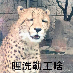 媽媽擠爸