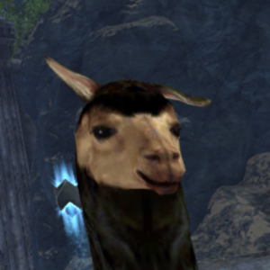 jjohnsin_