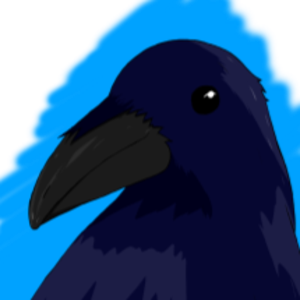 MrRavenOo