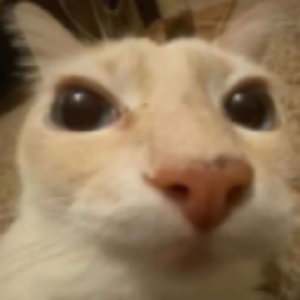 Immlerth