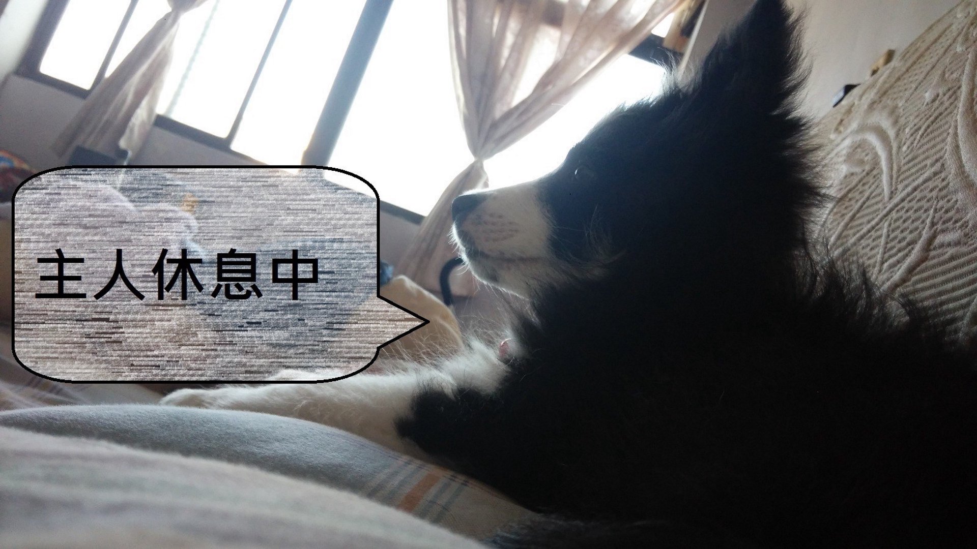 徐呆呆 Offline Background